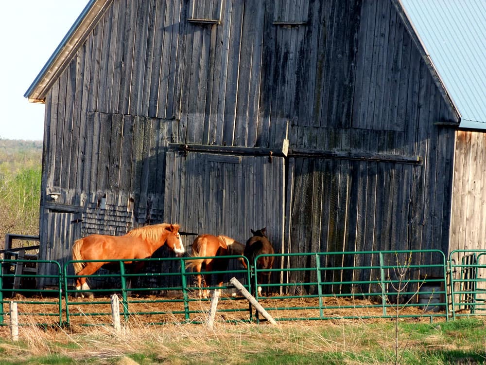 barns in maine