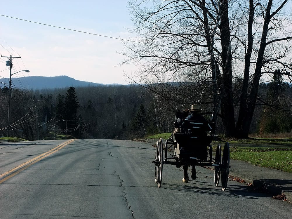 maine amish photo