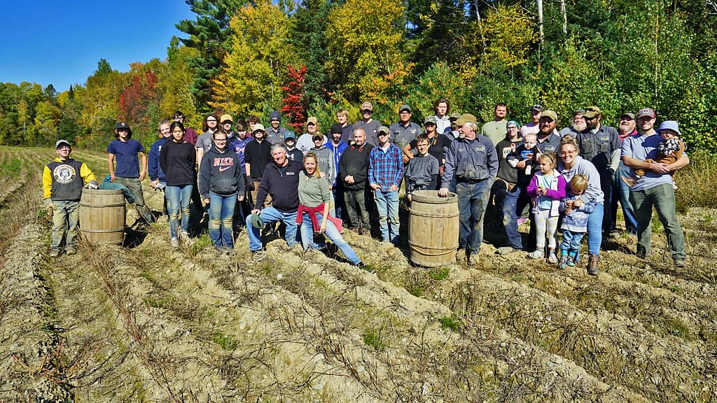 maine potato field workers