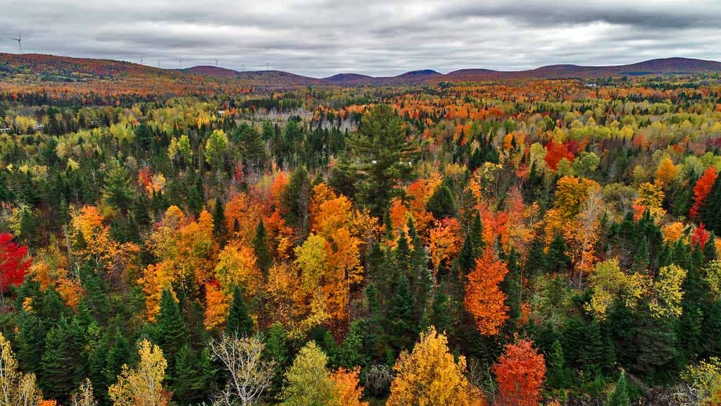 maine fall foliage colors 