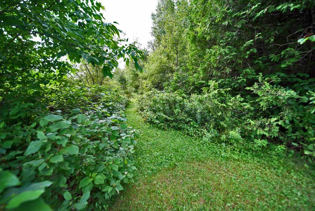 Follow The Path Up In Maine