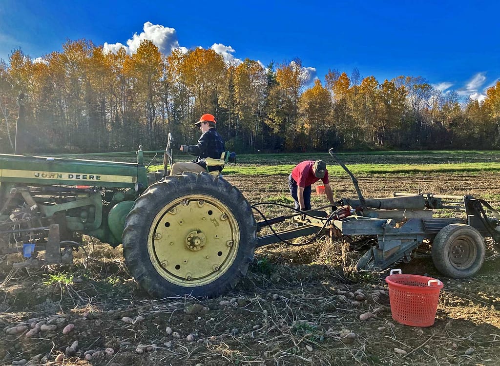 Homestead, Living Off The Land In Maine.