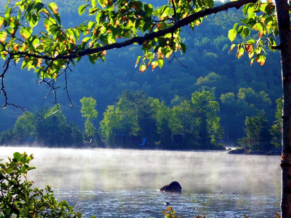 early morning me lake mist