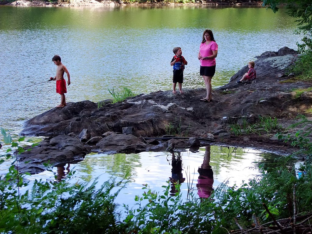 maine is outdoors, all natural