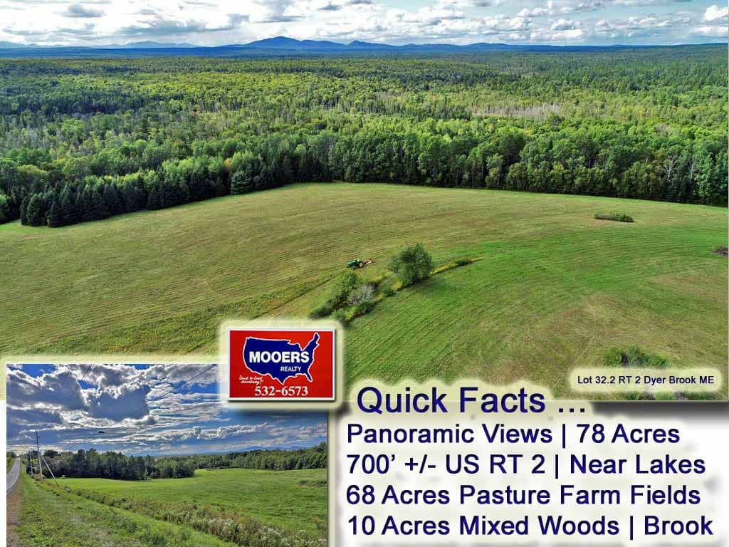 For Sale Land, Farm Lot 32.2 Us Rt 2 Highway, Dyer Brook, Maine