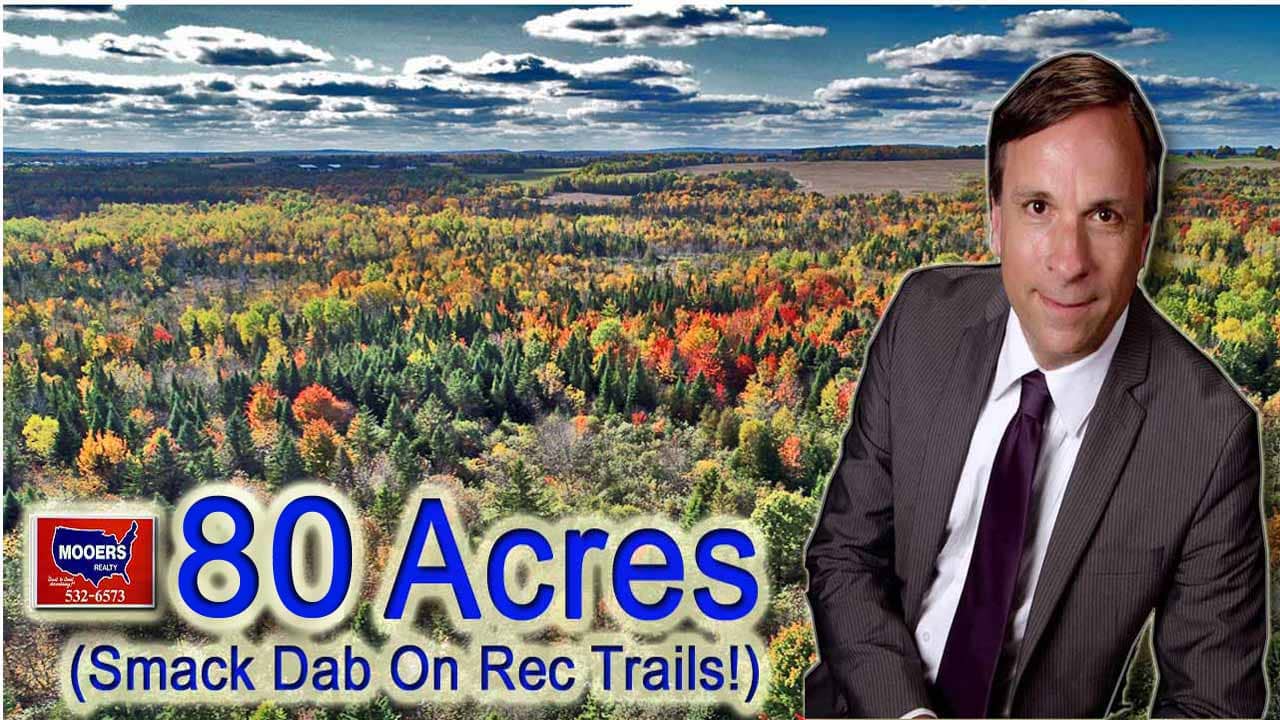 For Sale 80 Acres Maine Land, Lot 38 Off Us Rt 1 Highway, Littleton, Maine