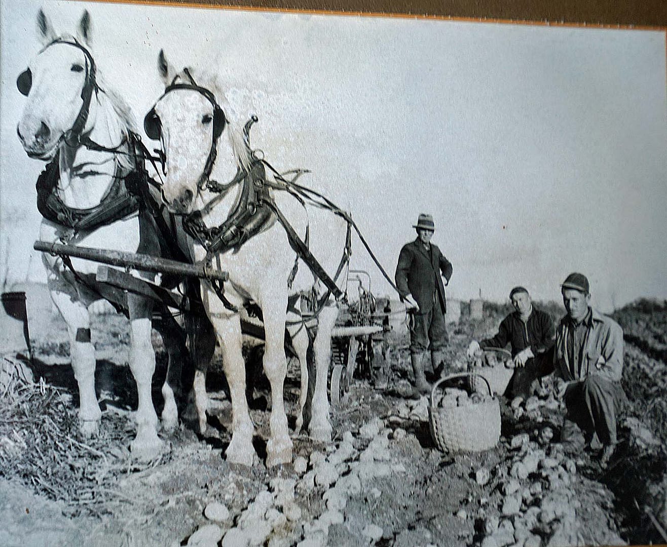 old maine farm photo