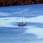 Maine Ocean Sailing. 