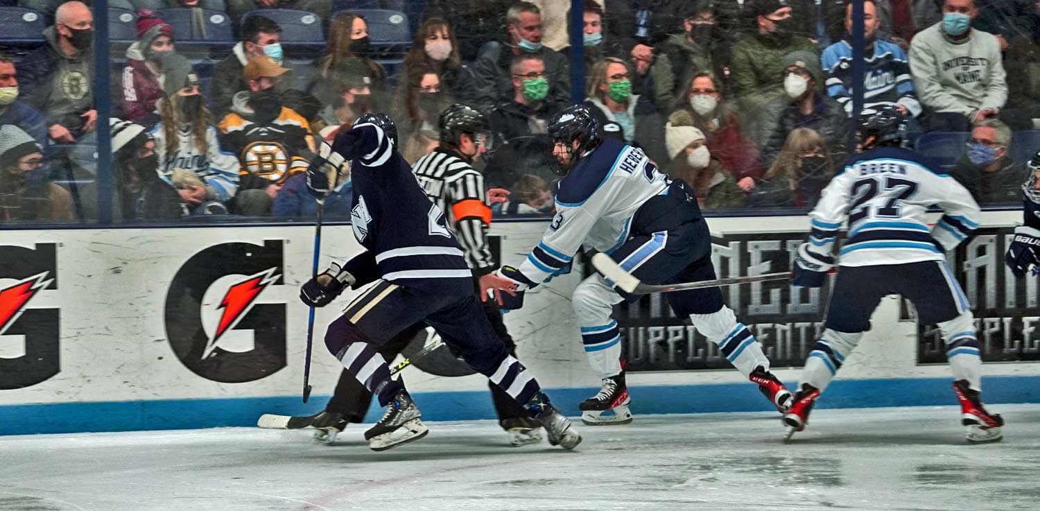 maine black bear hockey