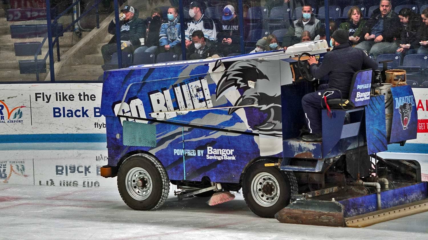 alfond arena zamboni