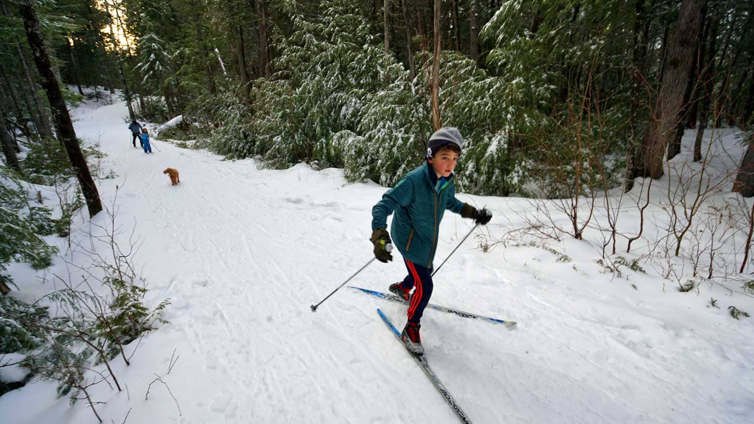 cross country skiing in maine