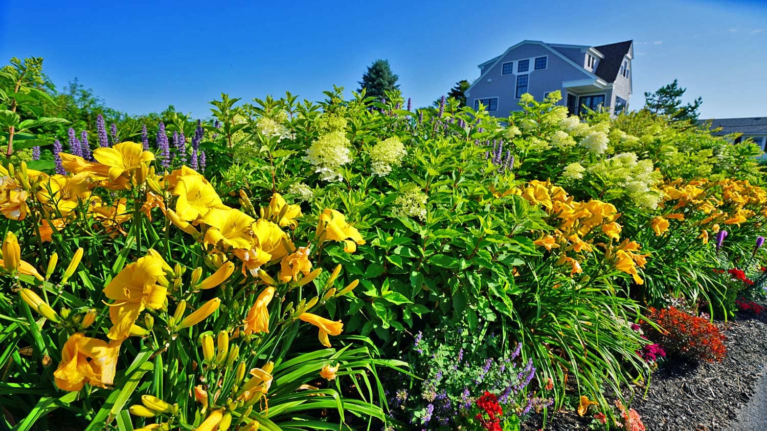 maine beach house