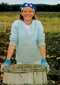 Picking Maine Potatoes..Dusty, Hot Sun, Long Days But Part Of Growing Up.