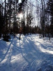 Maine Snow Sled Trail