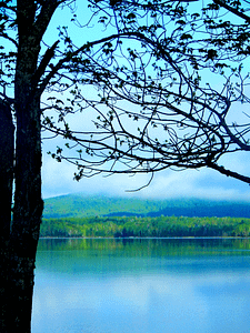 Maine Lake Photo
