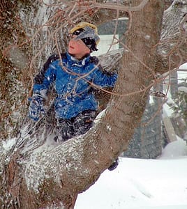 Ask Any Maine Kid, Do They Like, Enjoy, Play In The Snow? This Is One Happy Kid In One Of The Trees In My Backyard That Would Shout "Yes". 