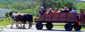 horse wagon Maine