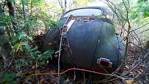 old cars parked in the woods photo