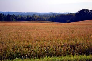 Maine Land Photo