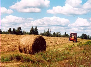 Bailing Hay On A Maine Farm Photo