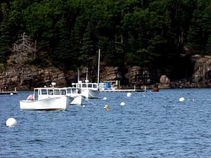 Maine Sea Coast Boats Habored, Anchored.