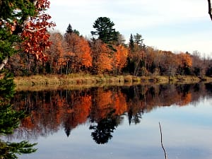 Maine Fall Colors, Mirrored By Still Water.