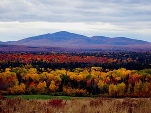 Maine Fall Foliage Colors.