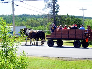 horse drawn wagon rides in maine tours photo