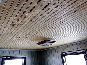 ceiling in lake log camp