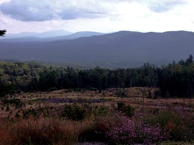 Land In Maine, Big, Cheap, Sometimes With Major Views!