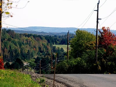 Lots of Land In Maine.