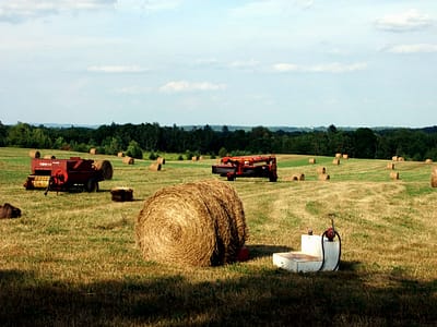 haying in maine farm photo