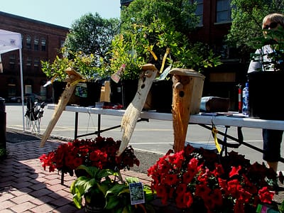 farmers market photo