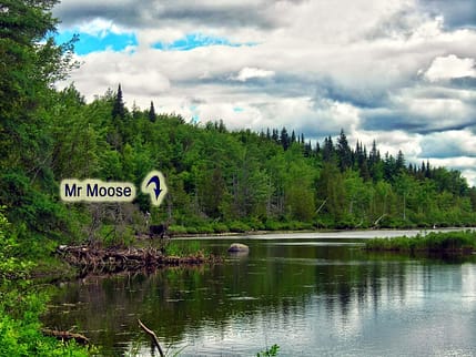 moose maine lake land for s