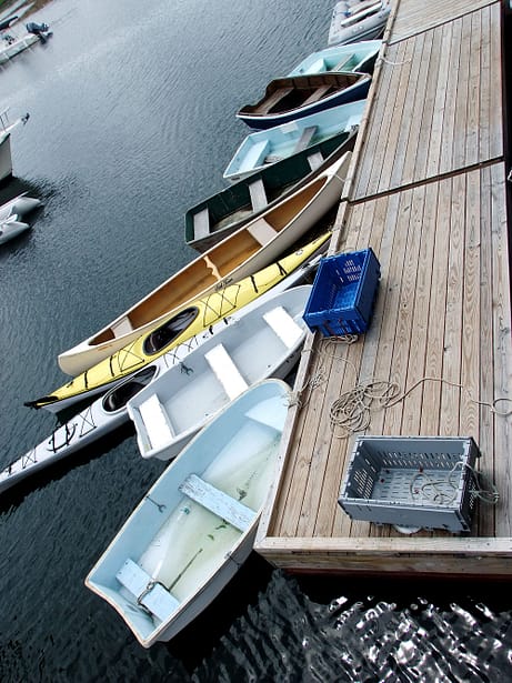 maine harbor boats photo