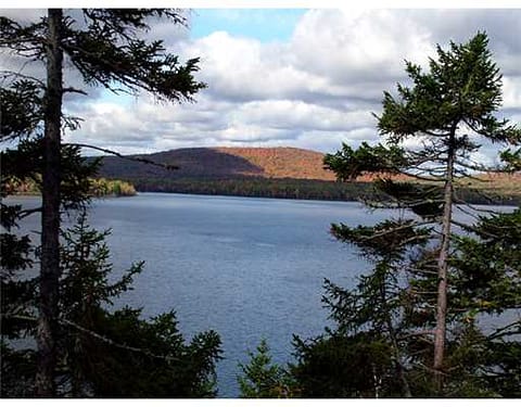 maine lake view photo