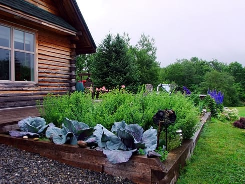 garden maine photo