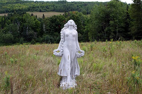 The Lady In The Field In Mars Hills Maine. 