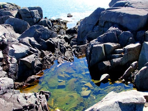 Water pools on a Maine coast!