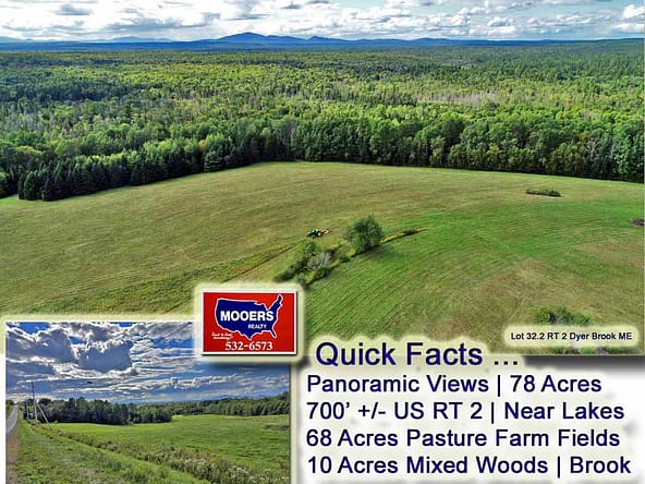 For Sale Land, Farm Lot 32.2 Us Rt 2 Highway, Dyer Brook, Maine