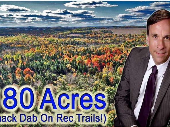 For Sale 80 Acres Maine Land, Lot 38 Off Us Rt 1 Highway, Littleton, Maine