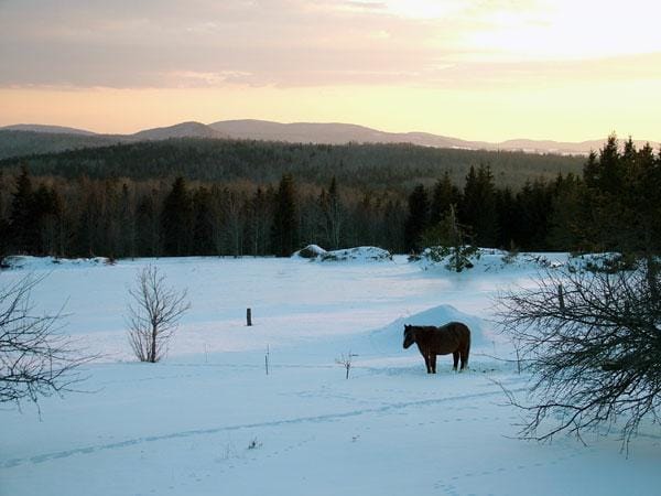 Winter peace on a Maine farm, awaiting spring's rebirth, renewal.