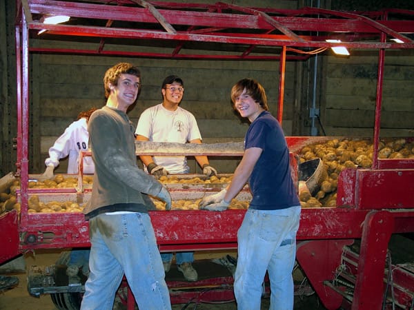 Maine Potato Harvest Teaches Work Ethic.