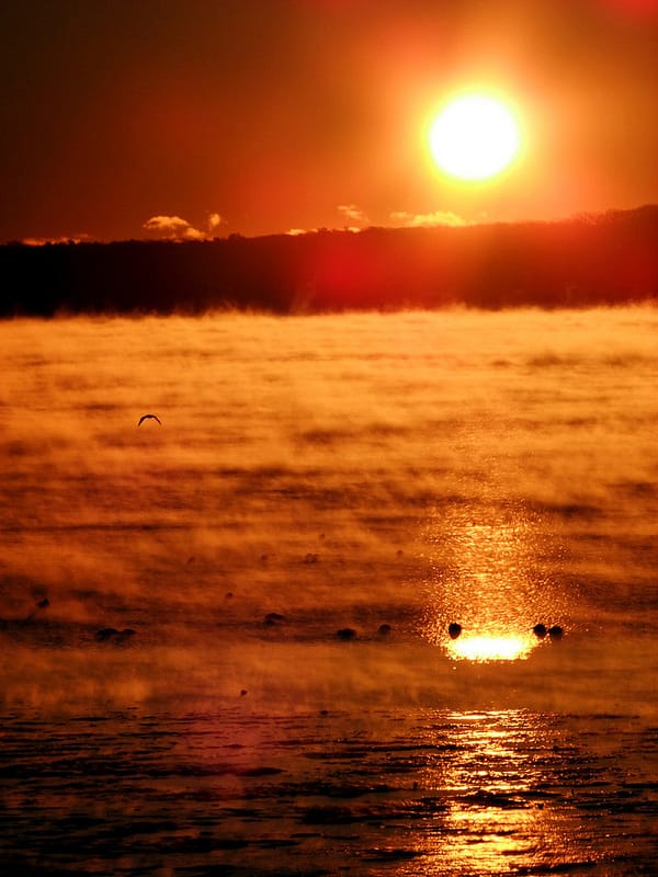 sun mist maine winter photo