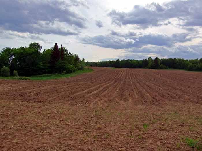 land buying in maine