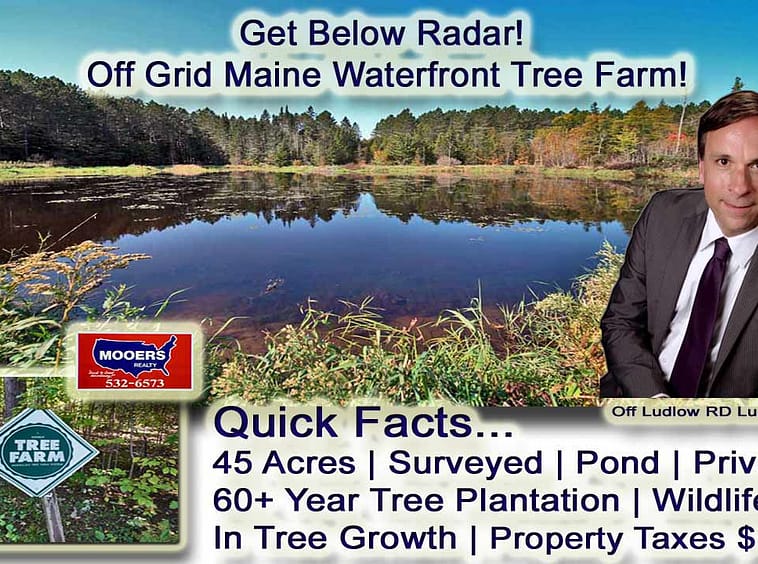 For Sale Farm Land, Lot 5.1 Off Ludlow Road, Ludlow, Maine, Tree Plantation