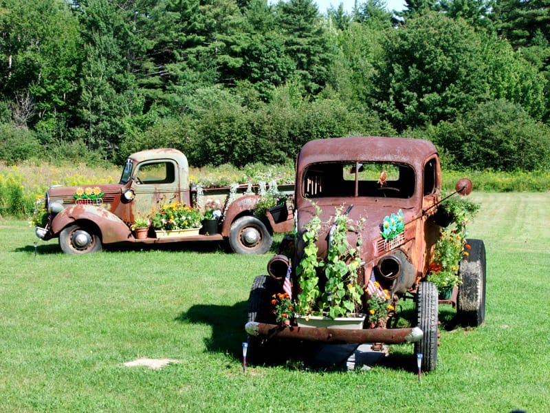 flower pots in maine