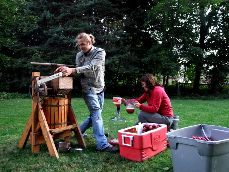 maine apple cider photo