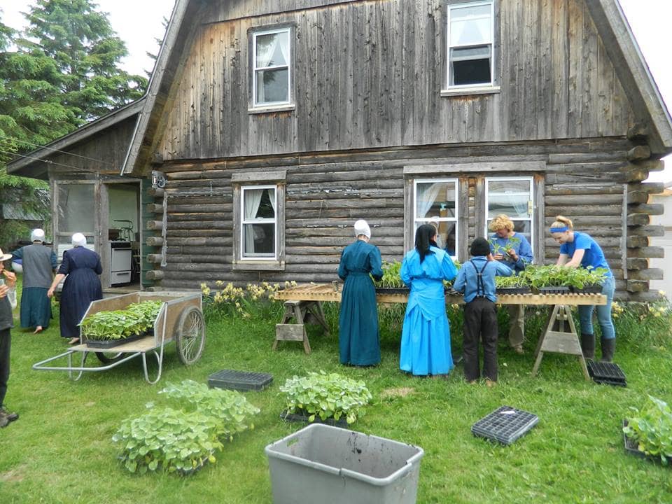 amish workday in maine