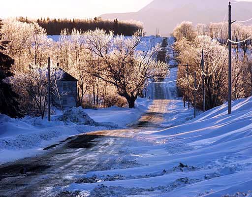 maine winter countryside photo